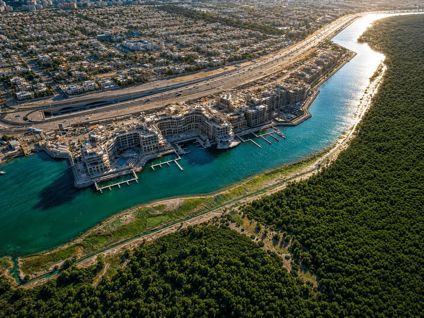Eastern Mangroves