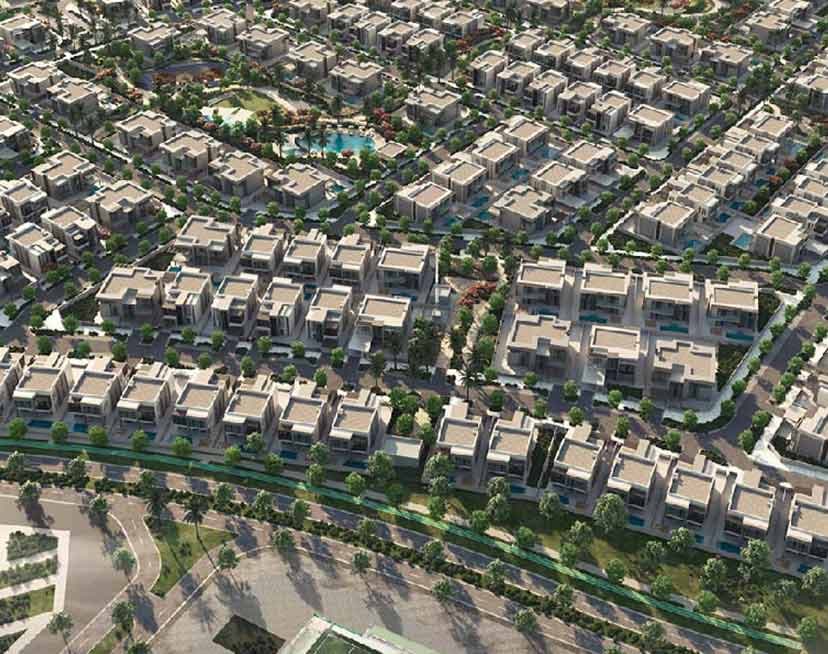 Saadiyat Reserve · 6