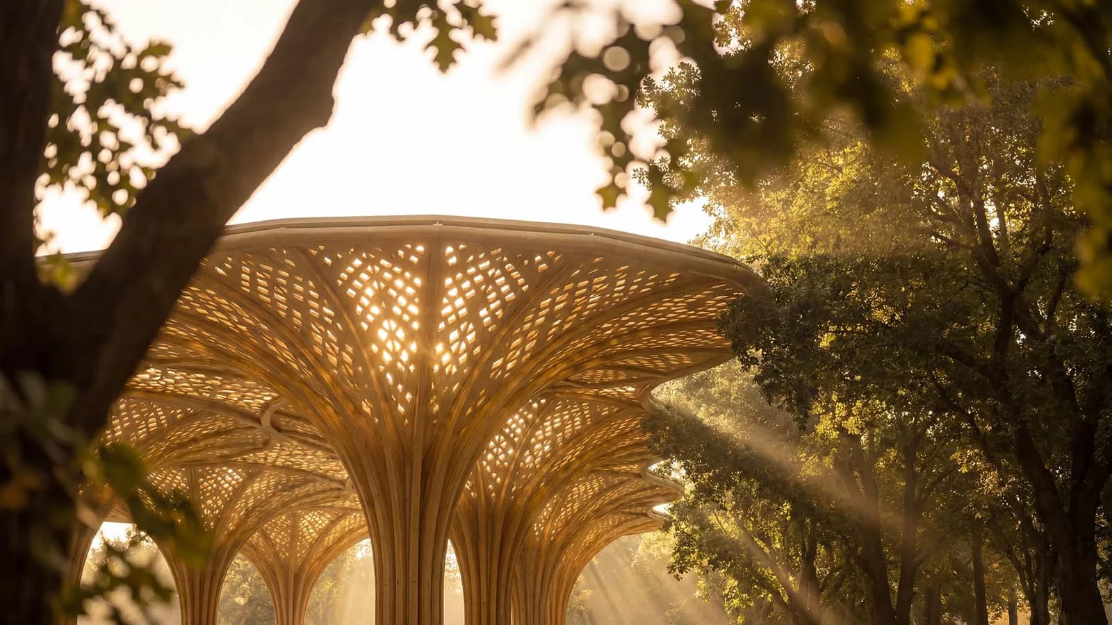 The Canopies at Yas Point · 6